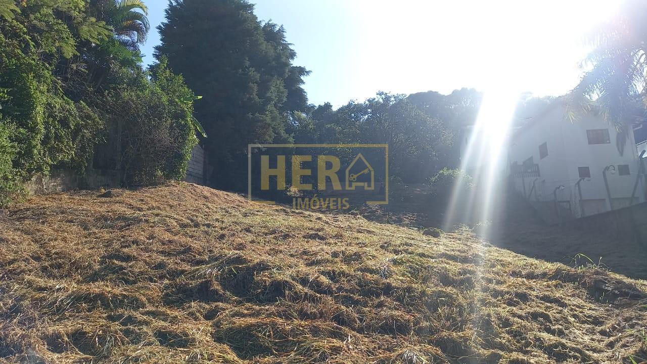Terreno à venda, 1300m² - Foto 3