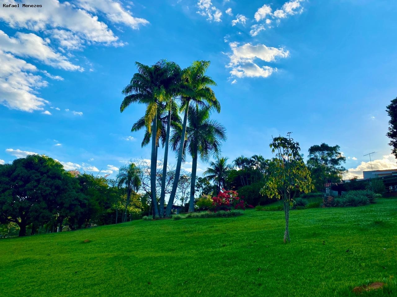 Chácara à venda com 3 quartos, 350m² - Foto 15