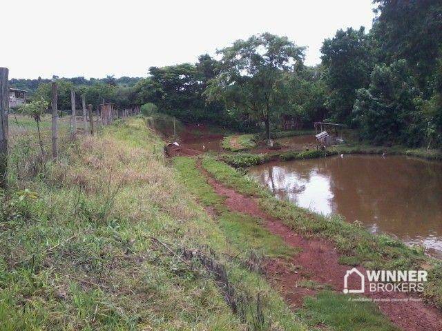 Chácara à venda com 3 quartos, 6000M2 - Foto 7