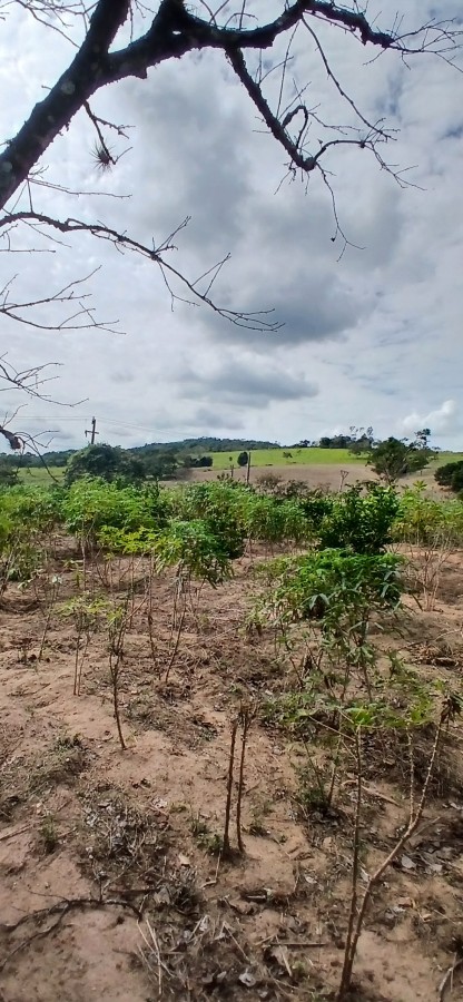 Sítio à venda com 3 quartos, 67000m² - Foto 32