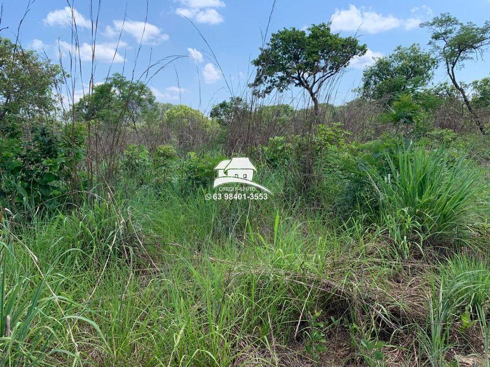 Chácara à venda com 3 quartos, 120000m² - Foto 10