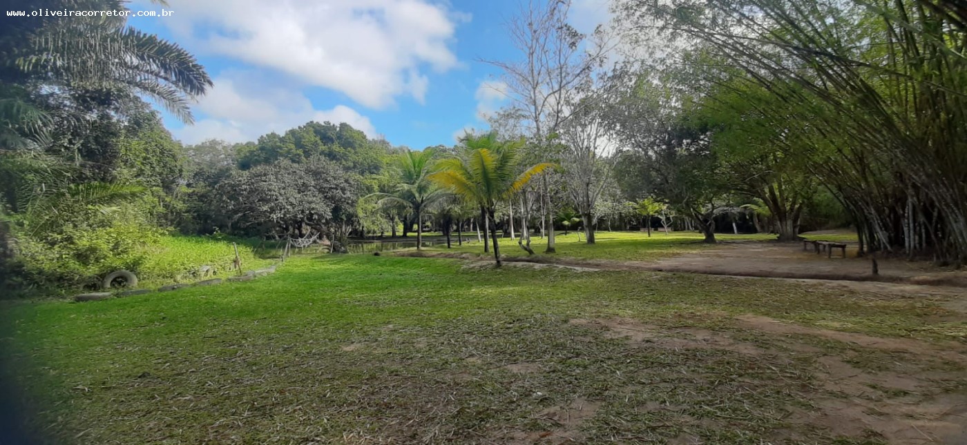 Chácara à venda com 50 quartos, 40000m² - Foto 19