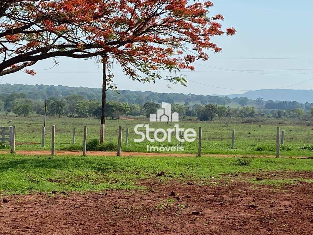 Fazenda à venda com 3 quartos, 2420000M2 - Foto 1