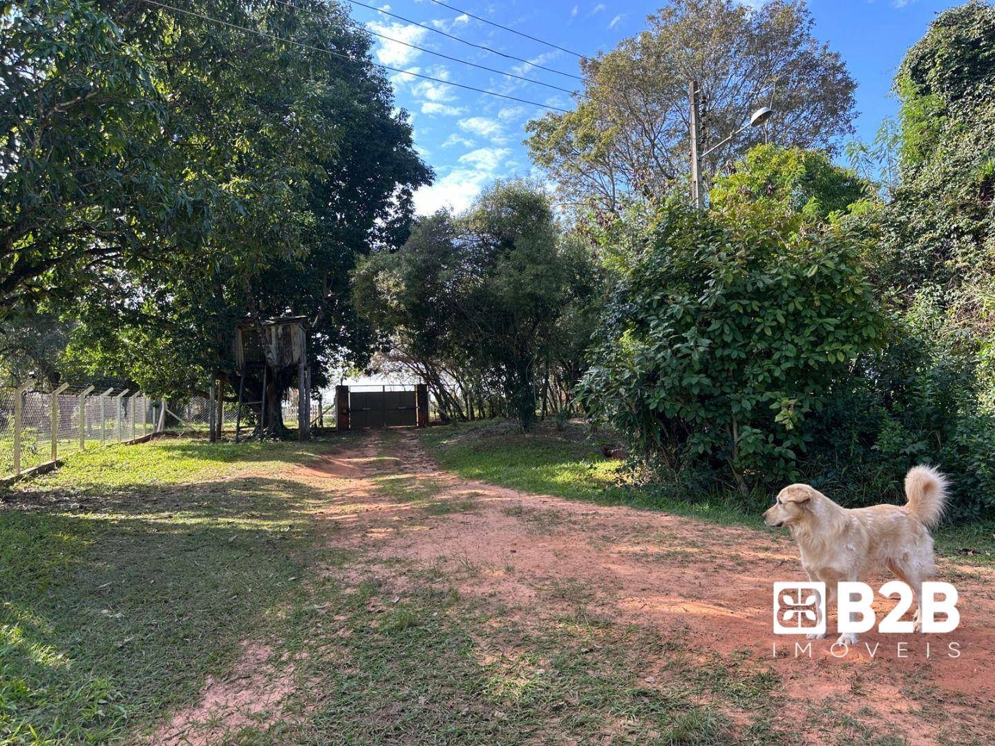 Sítio à venda com 6 quartos, 600m² - Foto 9