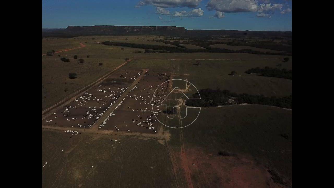 Fazenda à venda, 78000000M2 - Foto 5