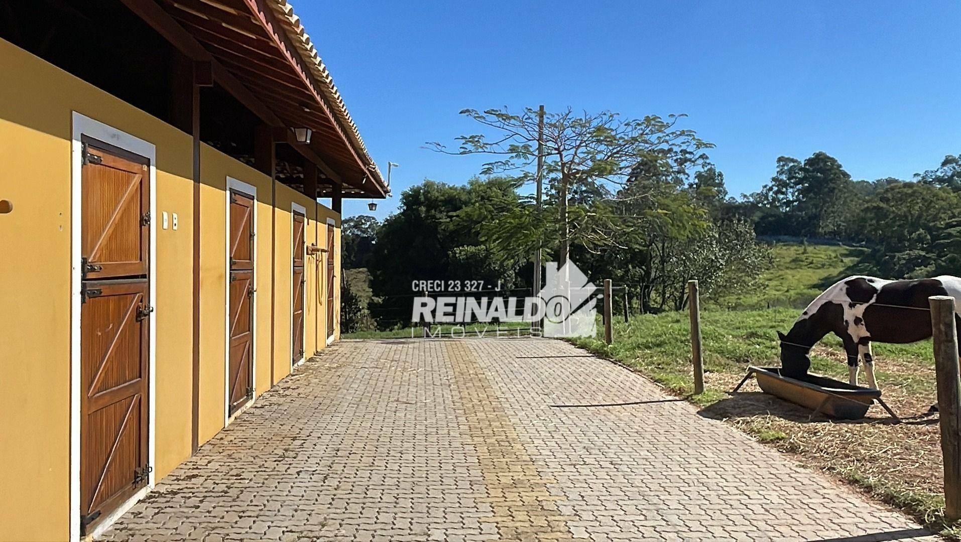 Haras e Área Rural Padrão à venda com 4 quartos, 1050m² - Foto 2