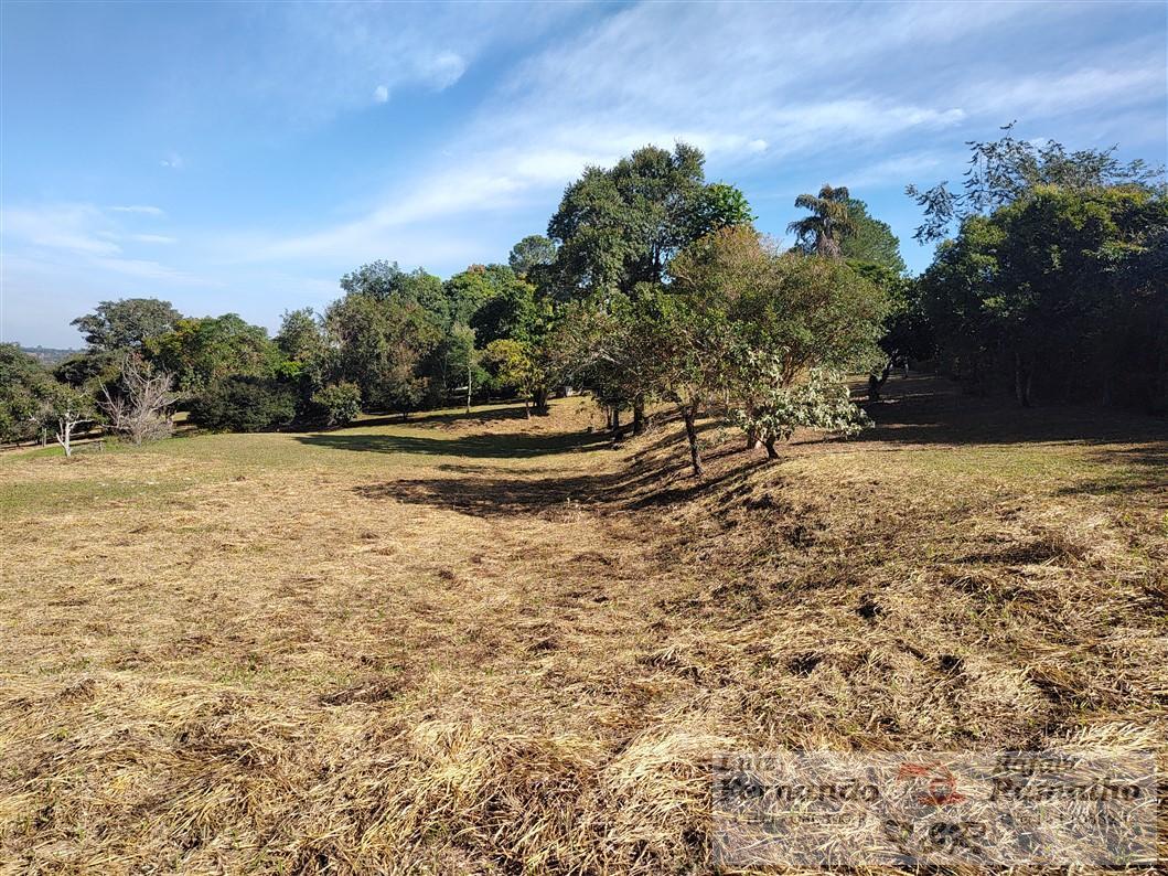 Fazenda à venda com 2 quartos, 16000m² - Foto 33