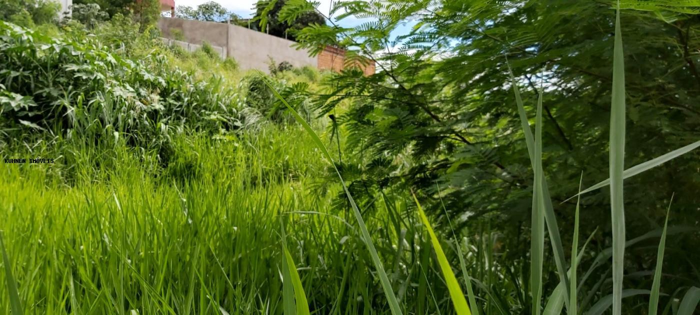 Terreno, 1440 m² - Foto 2