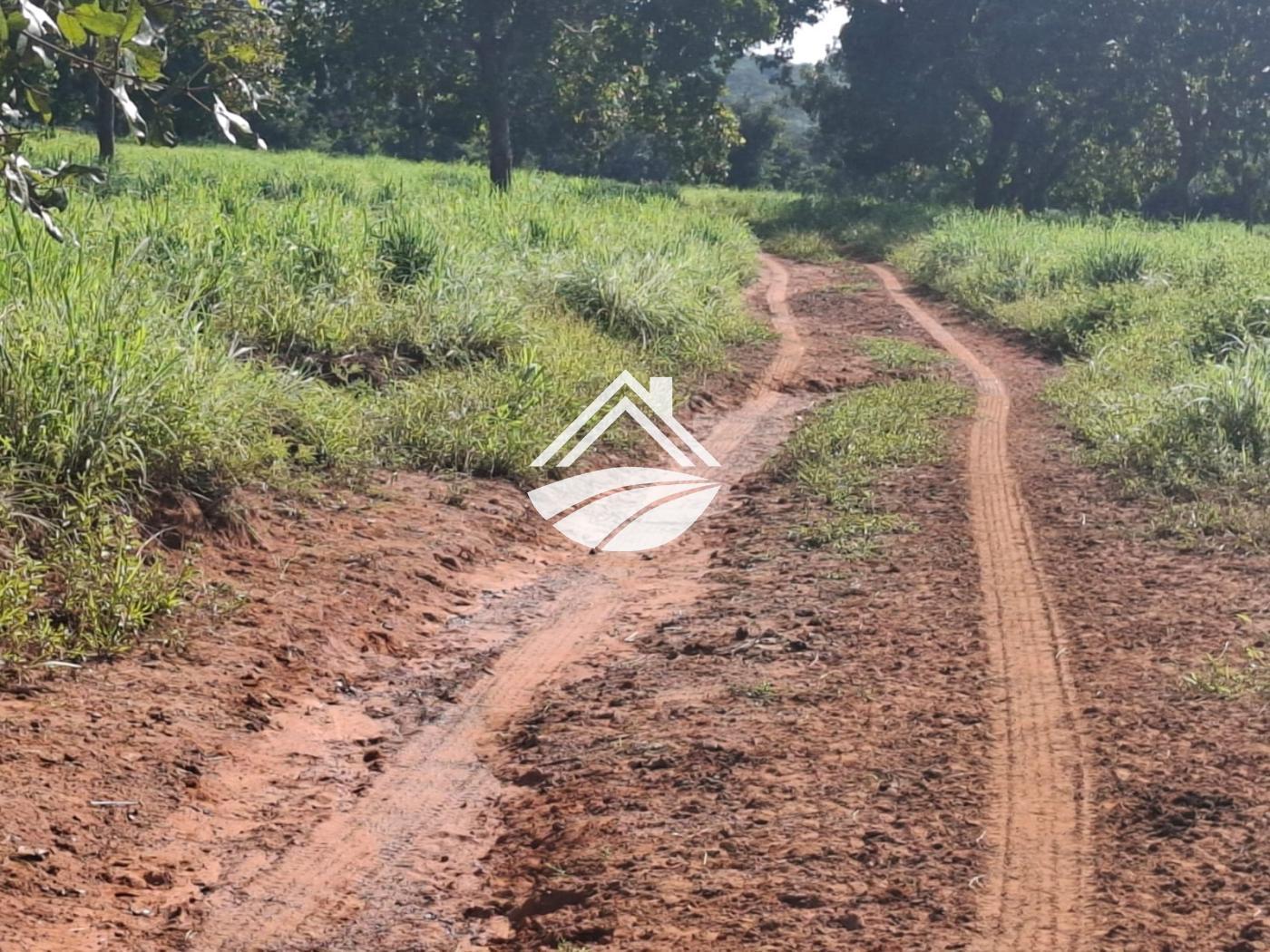 Fazenda-Sítio-Chácara, 1 m² - Foto 16