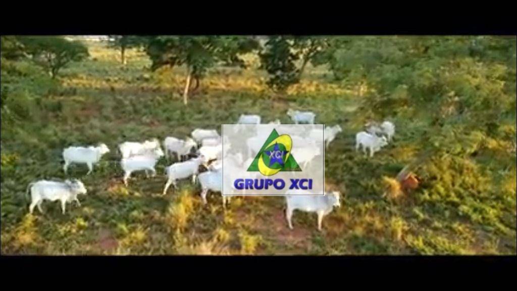 Fazenda à venda, 130000000M2 - Foto 39