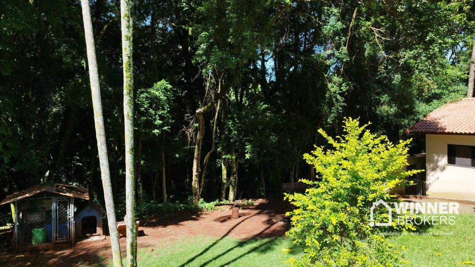 Chácara à venda com 1 quarto, 176m² - Foto 12