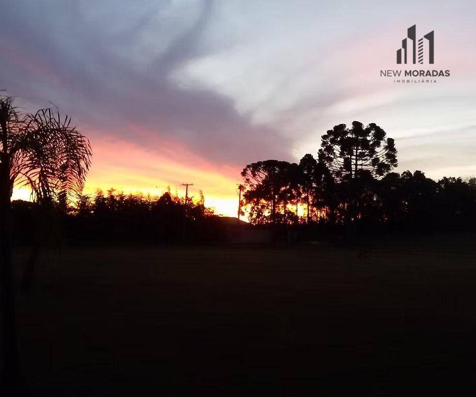 Terreno, 5000 m² - Foto 12