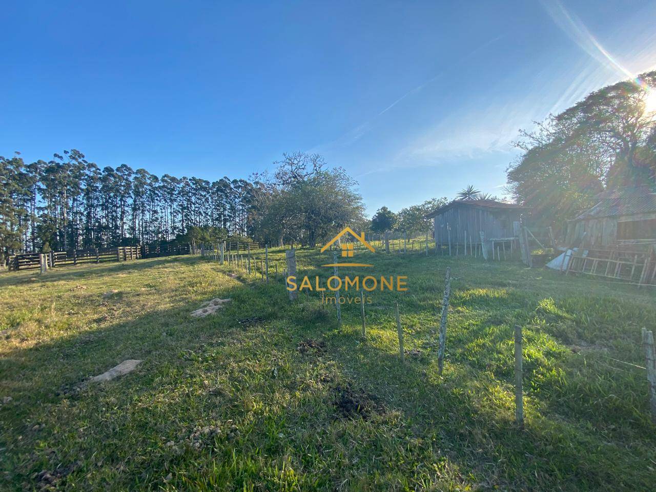 Sítio, 13 hectares - Foto 9