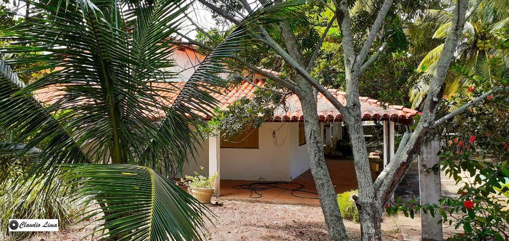 Fazenda à venda com 4 quartos, 180m² - Foto 14