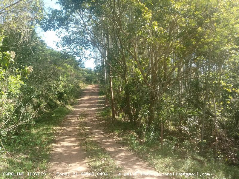 Loteamento e Condomínio à venda, 90000m² - Foto 7