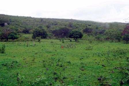 Fazenda à venda, 6090000M2 - Foto 4