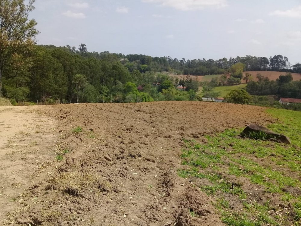 Fazenda à venda, 10m² - Foto 6