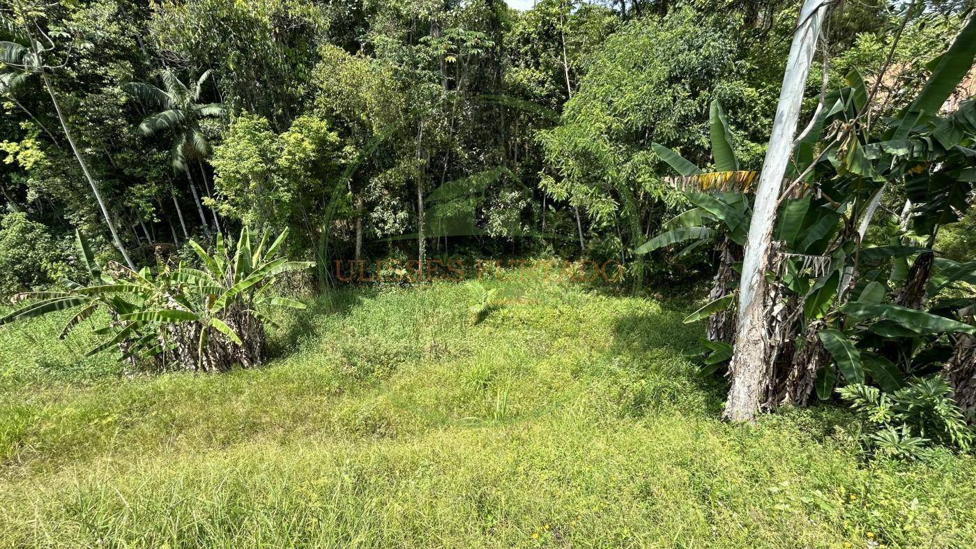 Sítio, 24 m² - Foto 16