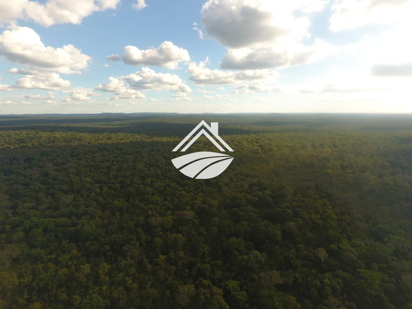 Fazenda-Sítio-Chácara, 1 m² - Foto 13