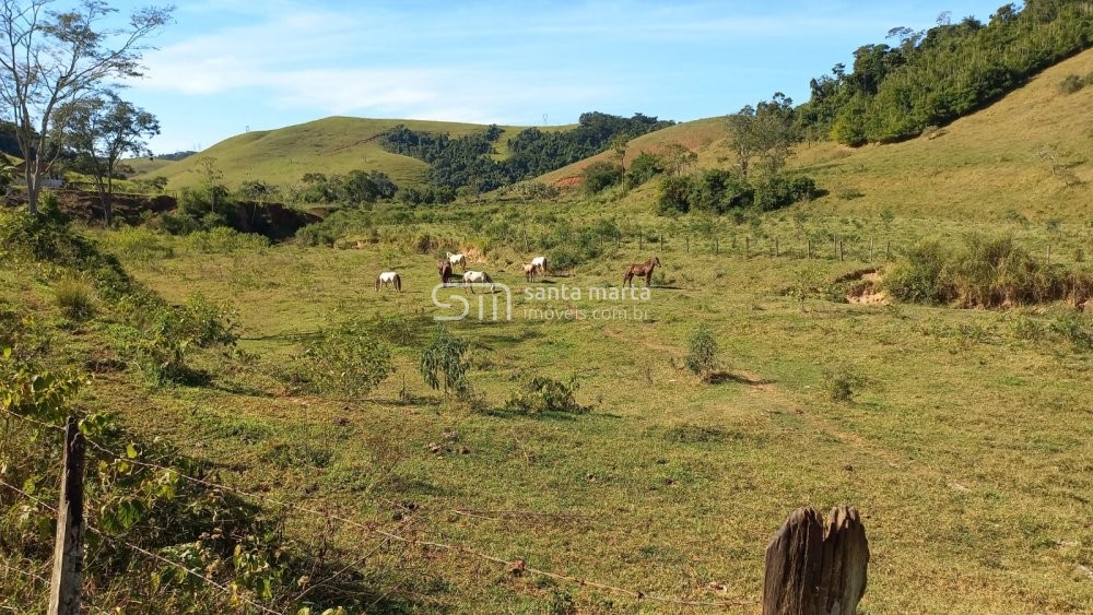 Fazenda à venda com 13 quartos, 150m² - Foto 31