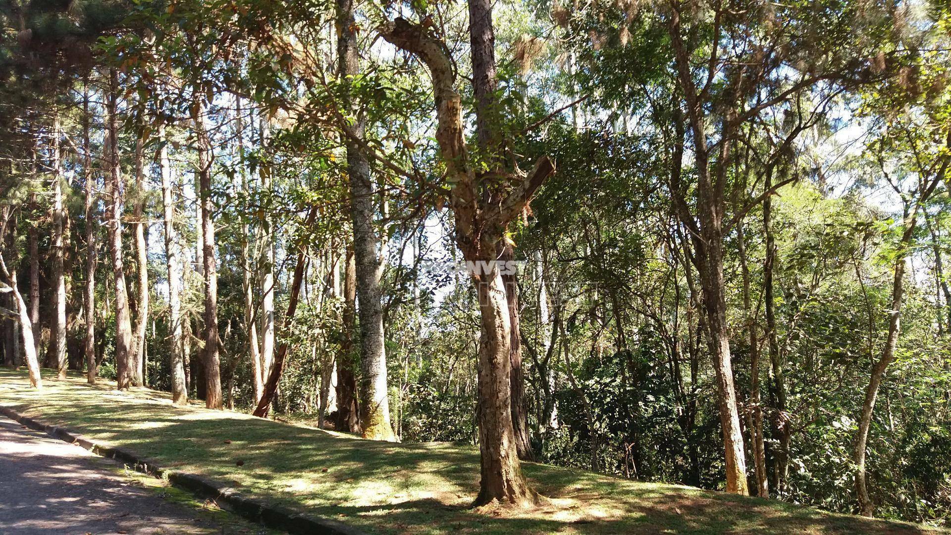 Loteamento e Condomínio à venda, 3495M2 - Foto 7