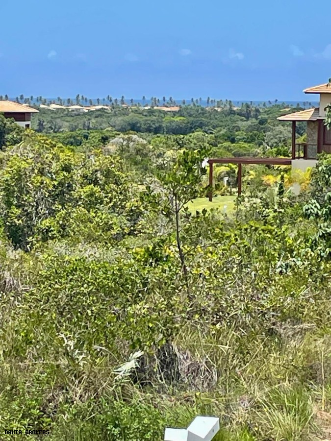 Terreno à venda, 800m² - Foto 4