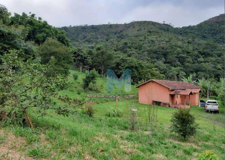 Sítio à venda com 2 quartos, 180m² - Foto 9