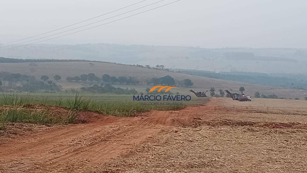 Fazenda-Sítio-Chácara, 121 hectares - Foto 2