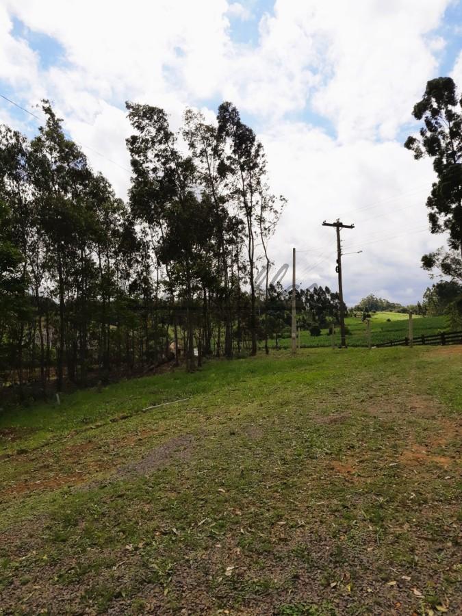 Chácara à venda, 3000m² - Foto 6