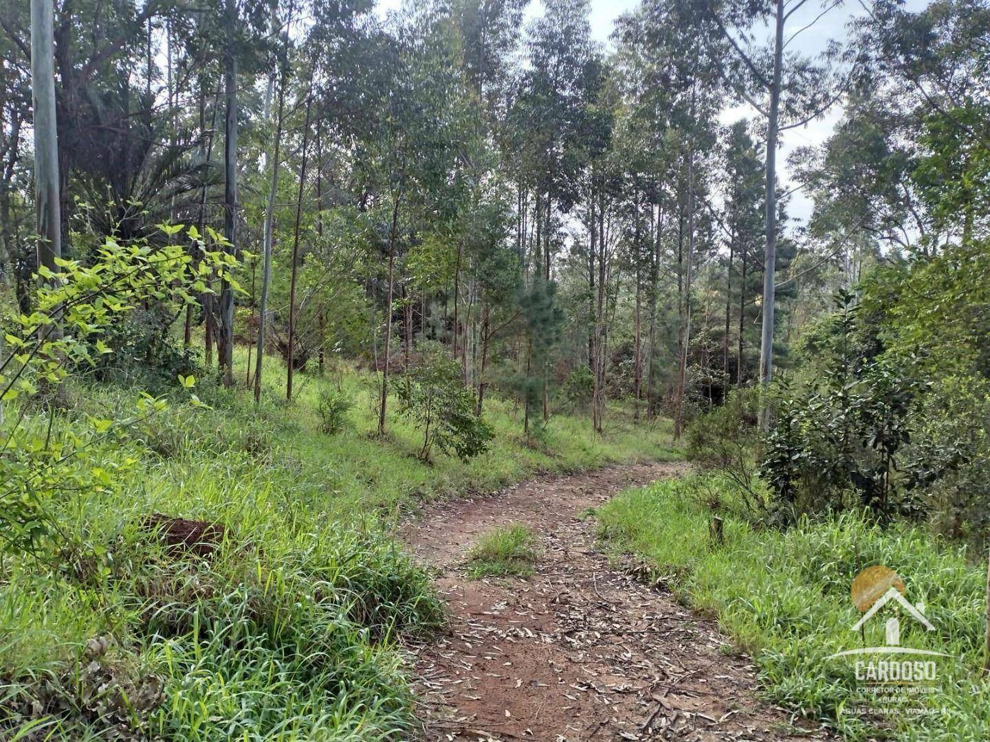 Sítio à venda, 110000M2 - Foto 5