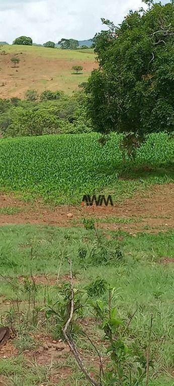 Fazenda à venda, 1887600M2 - Foto 22