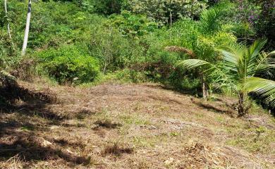 Sítio à venda, 140000m² - Foto 14