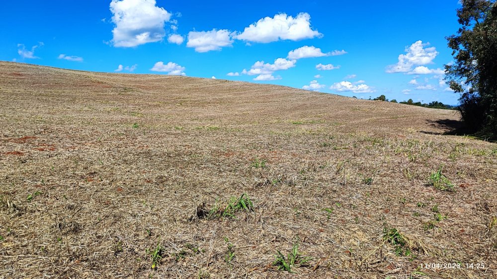 Fazenda à venda, 9m² - Foto 31