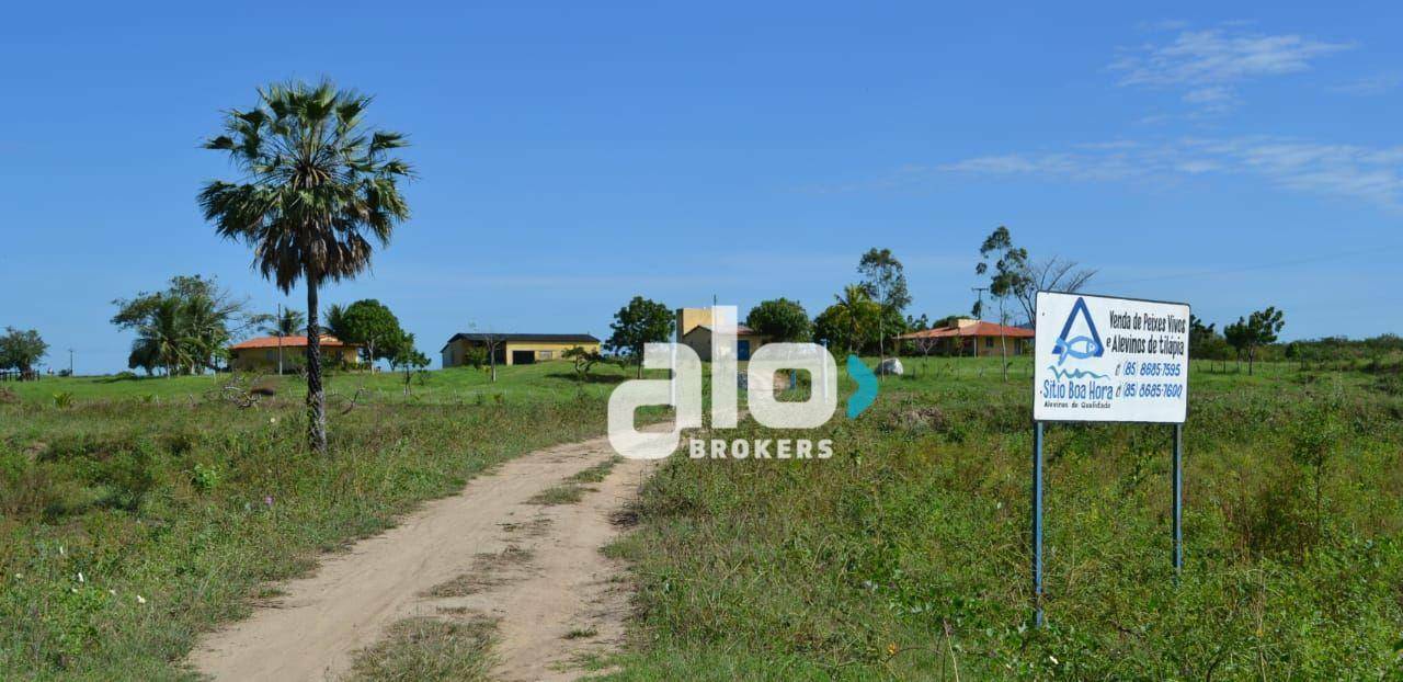 Fazenda-Sítio-Chácara, 52 hectares - Foto 2