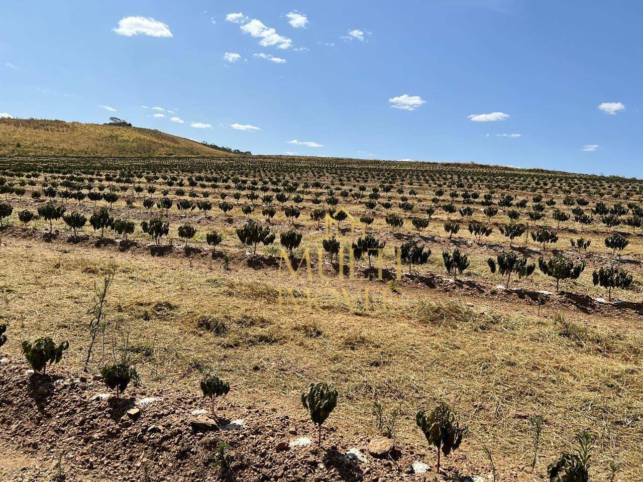 Fazenda à venda, 3200000M2 - Foto 11