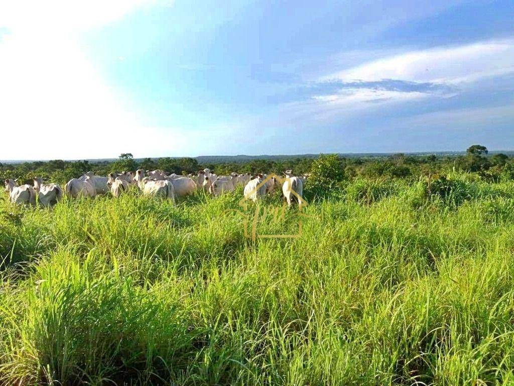 Fazenda-Sítio-Chácara, 374 hectares - Foto 4