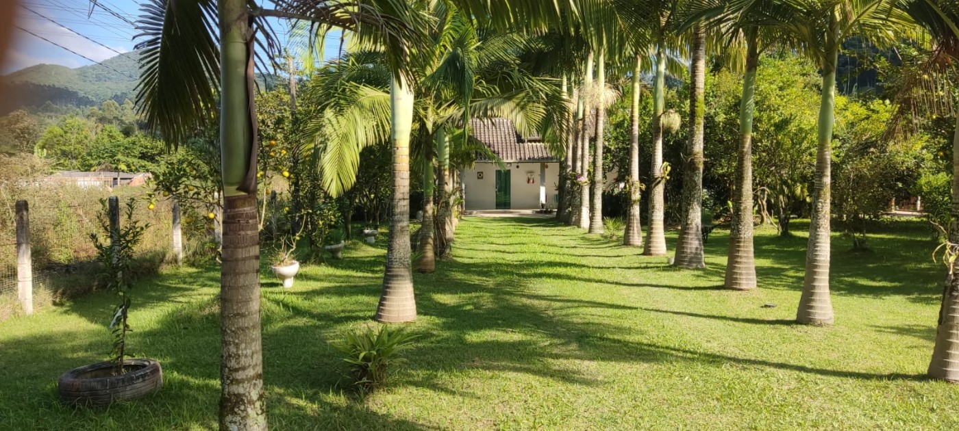 Chácara à venda com 2 quartos, 5000m² - Foto 4