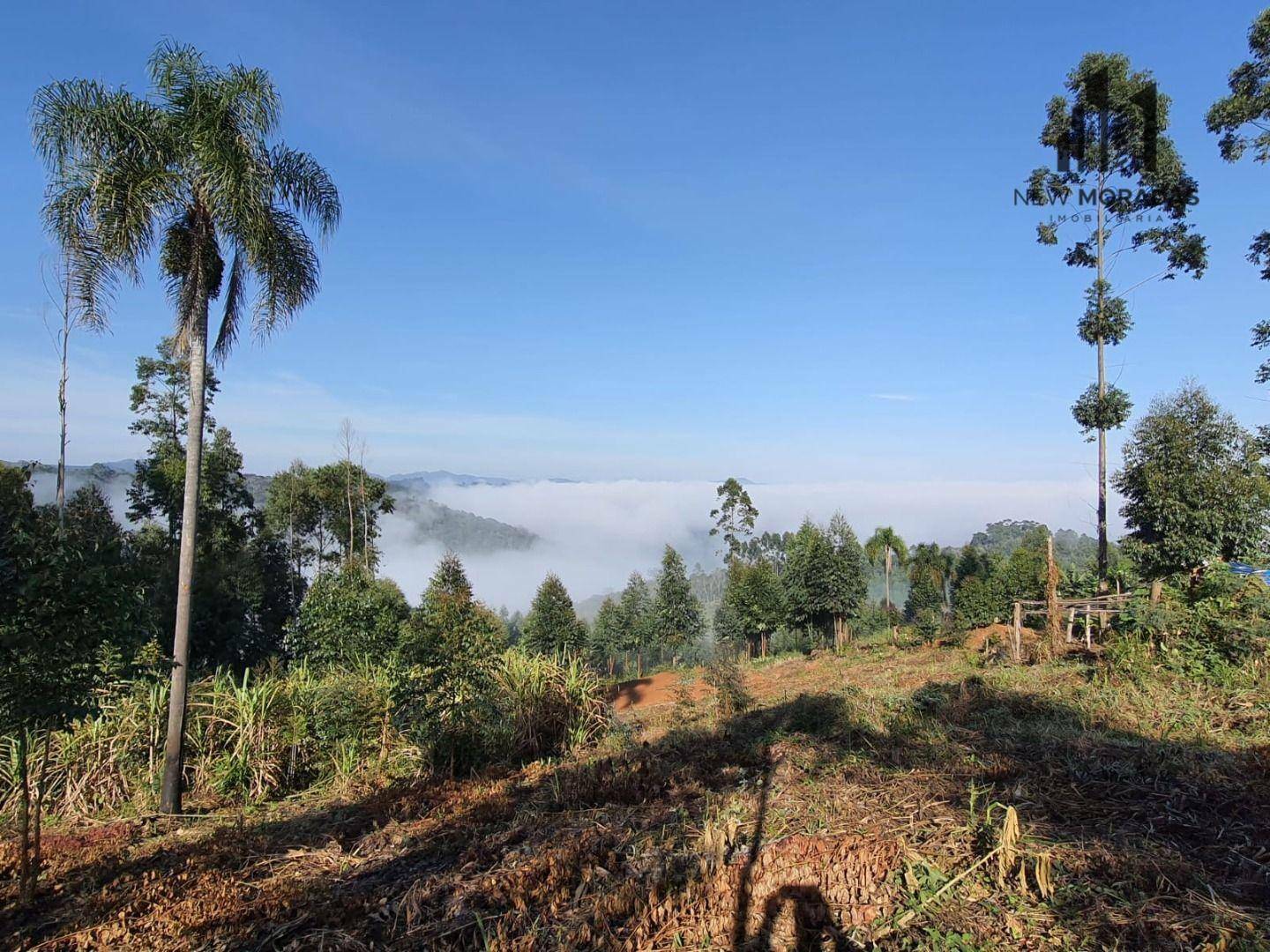 Chácara à venda com 2 quartos, 48400M2 - Foto 12