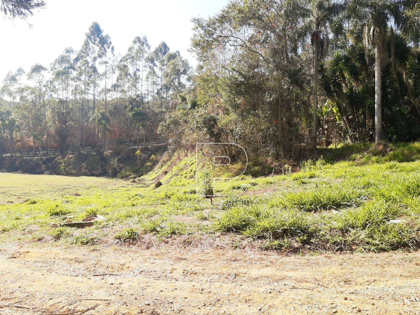 Terreno à venda, 600000M2 - Foto 4