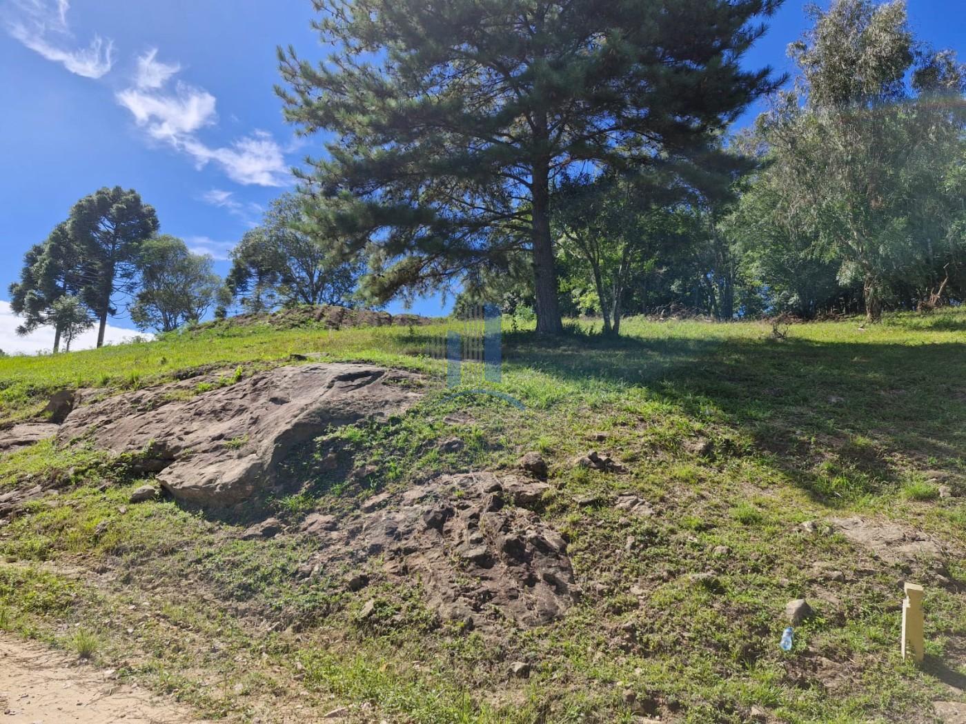 Terreno à venda, 1000m² - Foto 4