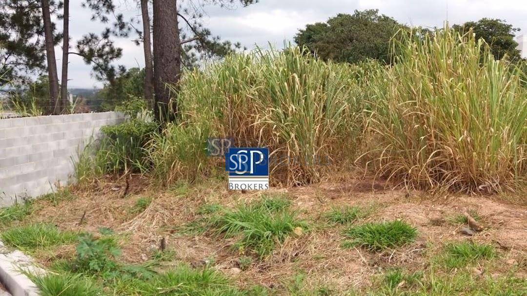 Terreno, 2514 m² - Foto 4