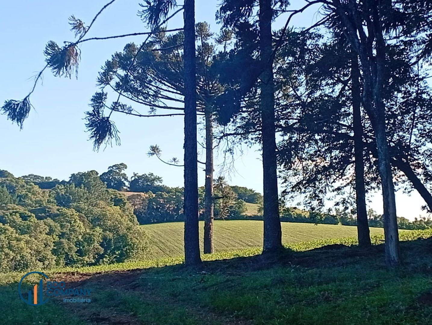 Chácara, 2 quartos, 5445 m² - Foto 2