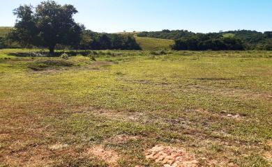 Fazenda à venda com 2 quartos, 210000m² - Foto 17