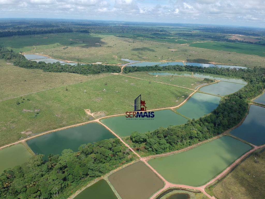 Fazenda-Sítio-Chácara, 1000 hectares - Foto 2