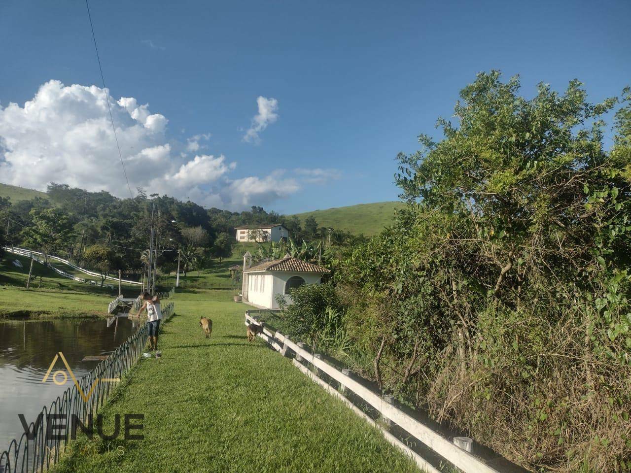 Fazenda à venda com 4 quartos, 200m² - Foto 22