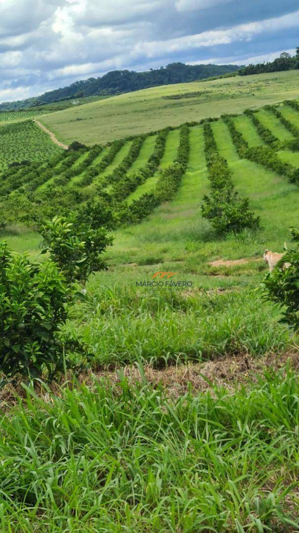 Fazenda à venda, 2250600M2 - Foto 17