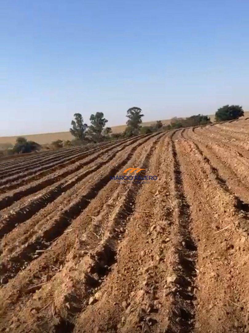 Sítio, 46 hectares - Foto 3