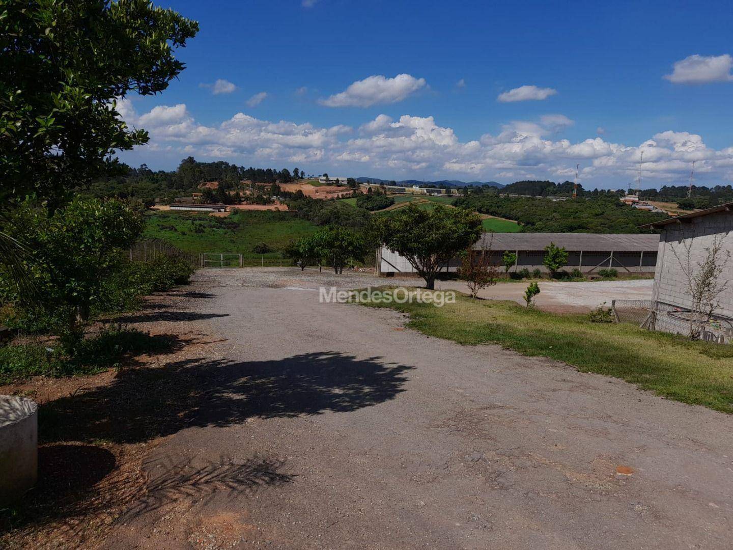 Terreno, 3 hectares - Foto 5