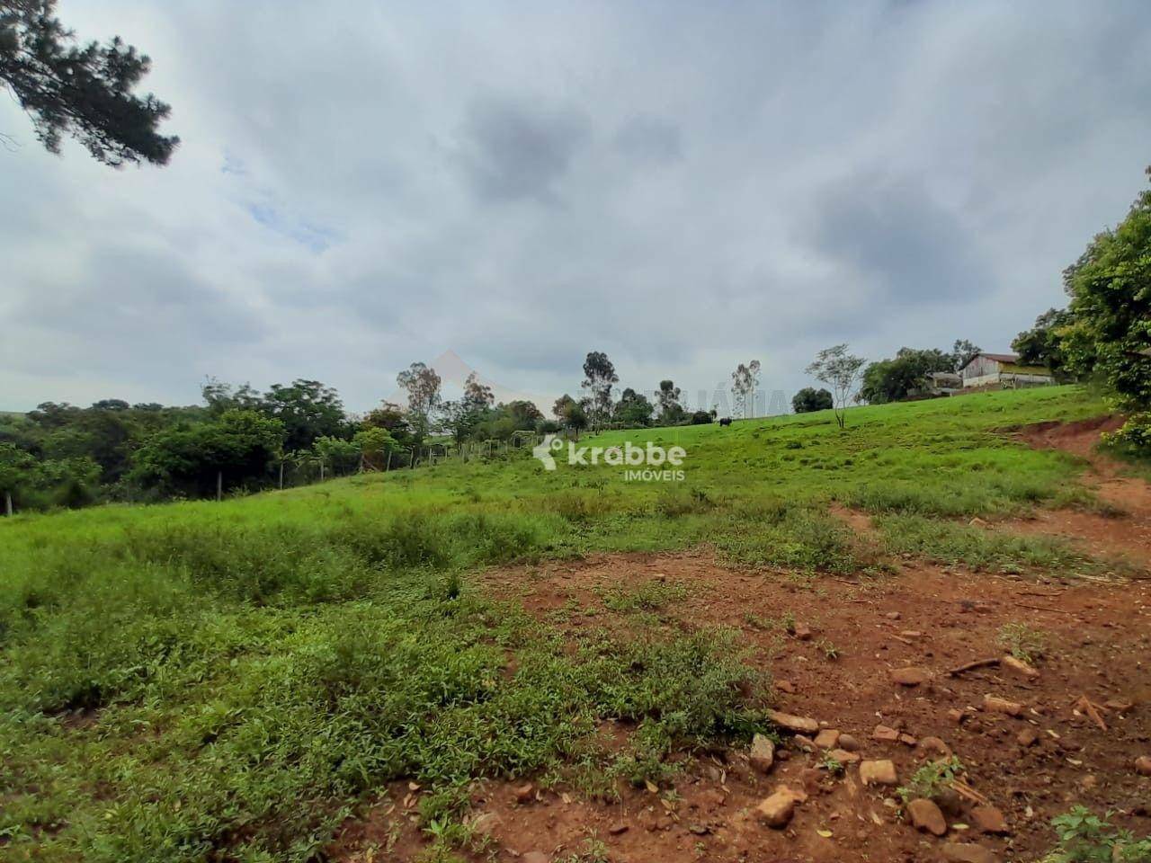 Chácara à venda com 4 quartos, 18000M2 - Foto 4