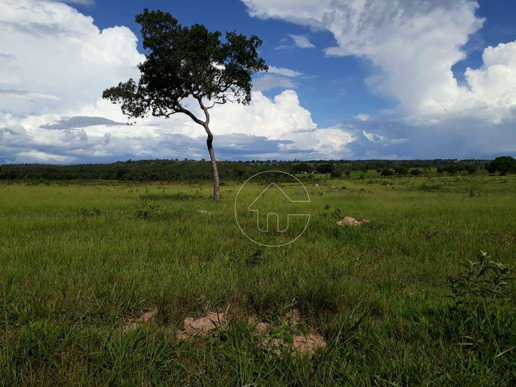 Fazenda à venda, 7400000M2 - Foto 7